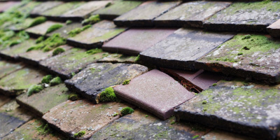 Loughton roof repair costs